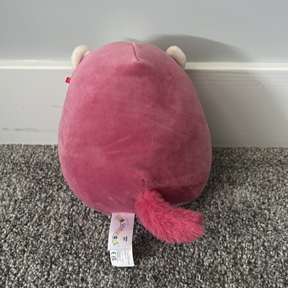 Pink Raccoon - Picture 2 of 2